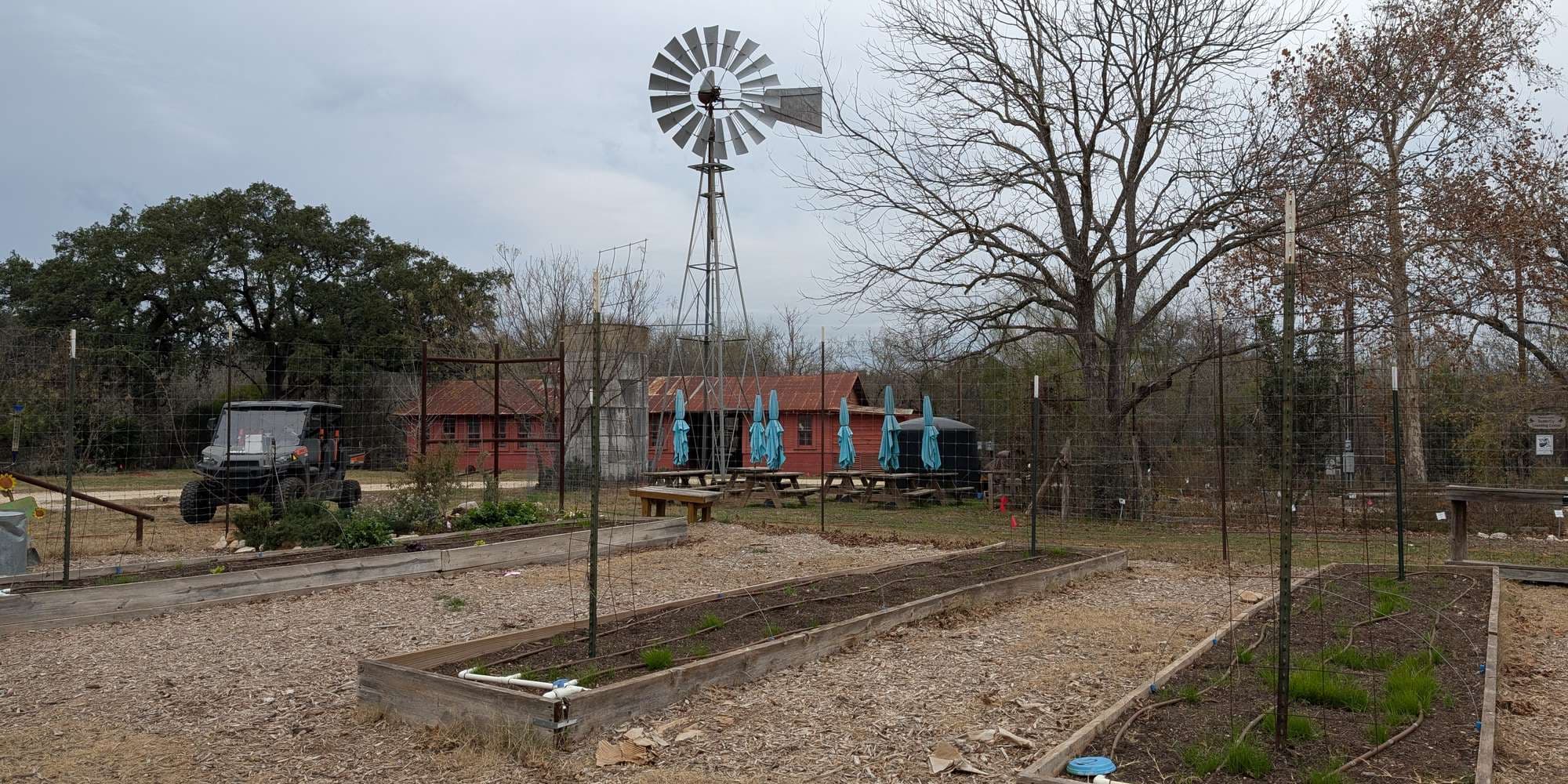 First image to compare