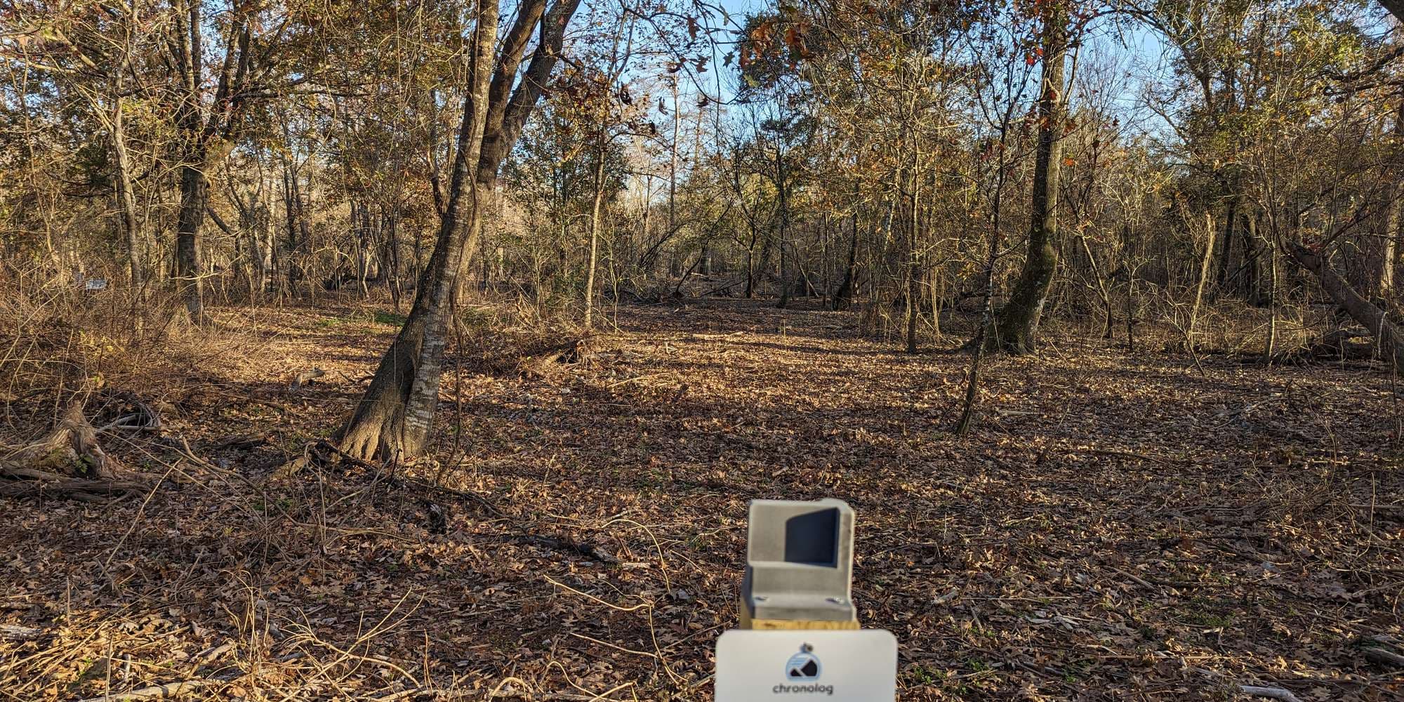 First image to compare