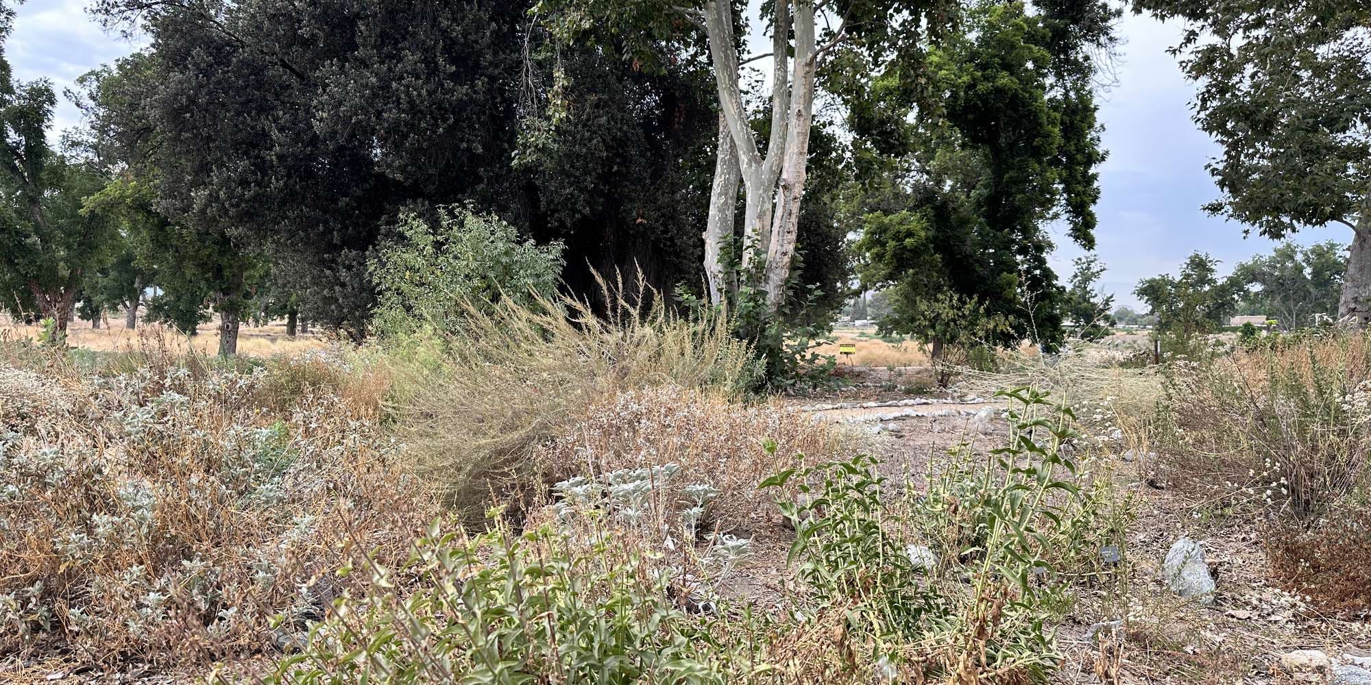 First image to compare