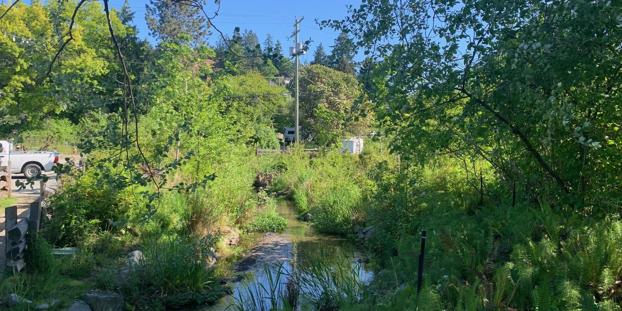 First image to compare