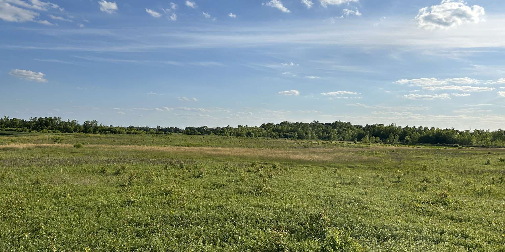 First image to compare