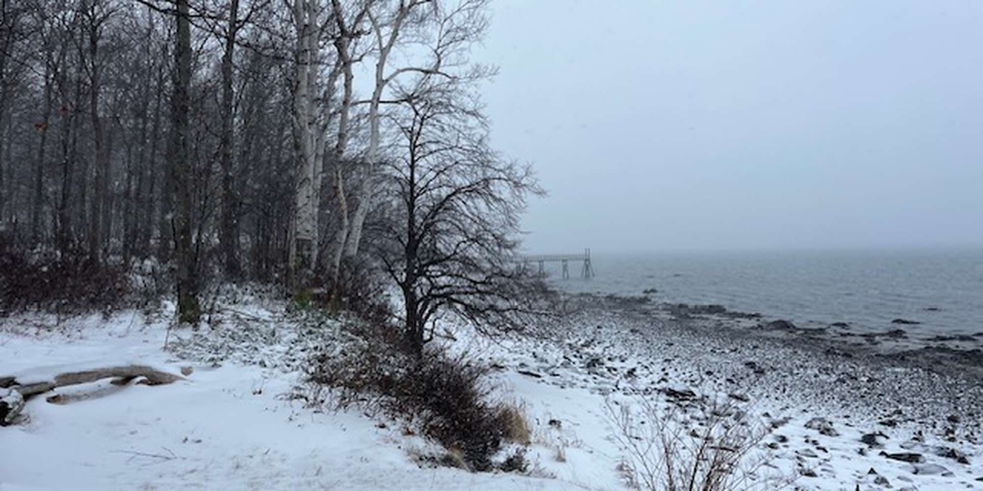 Second image to compare