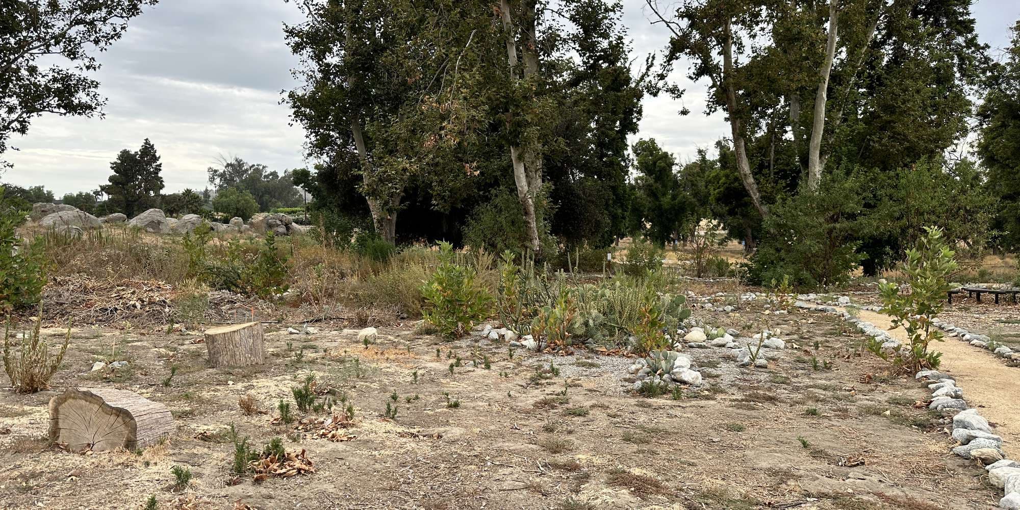 First image to compare