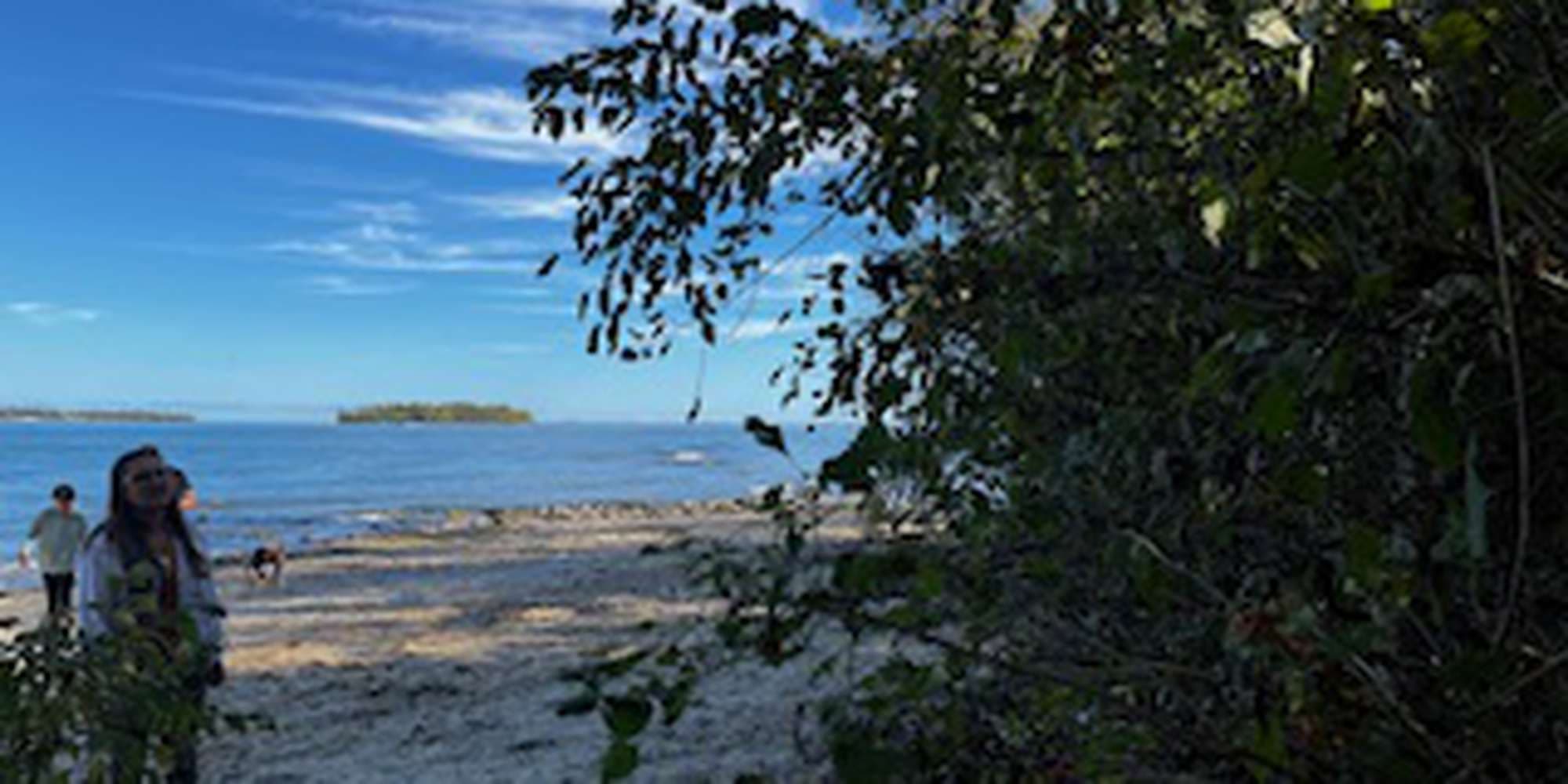 Second image to compare