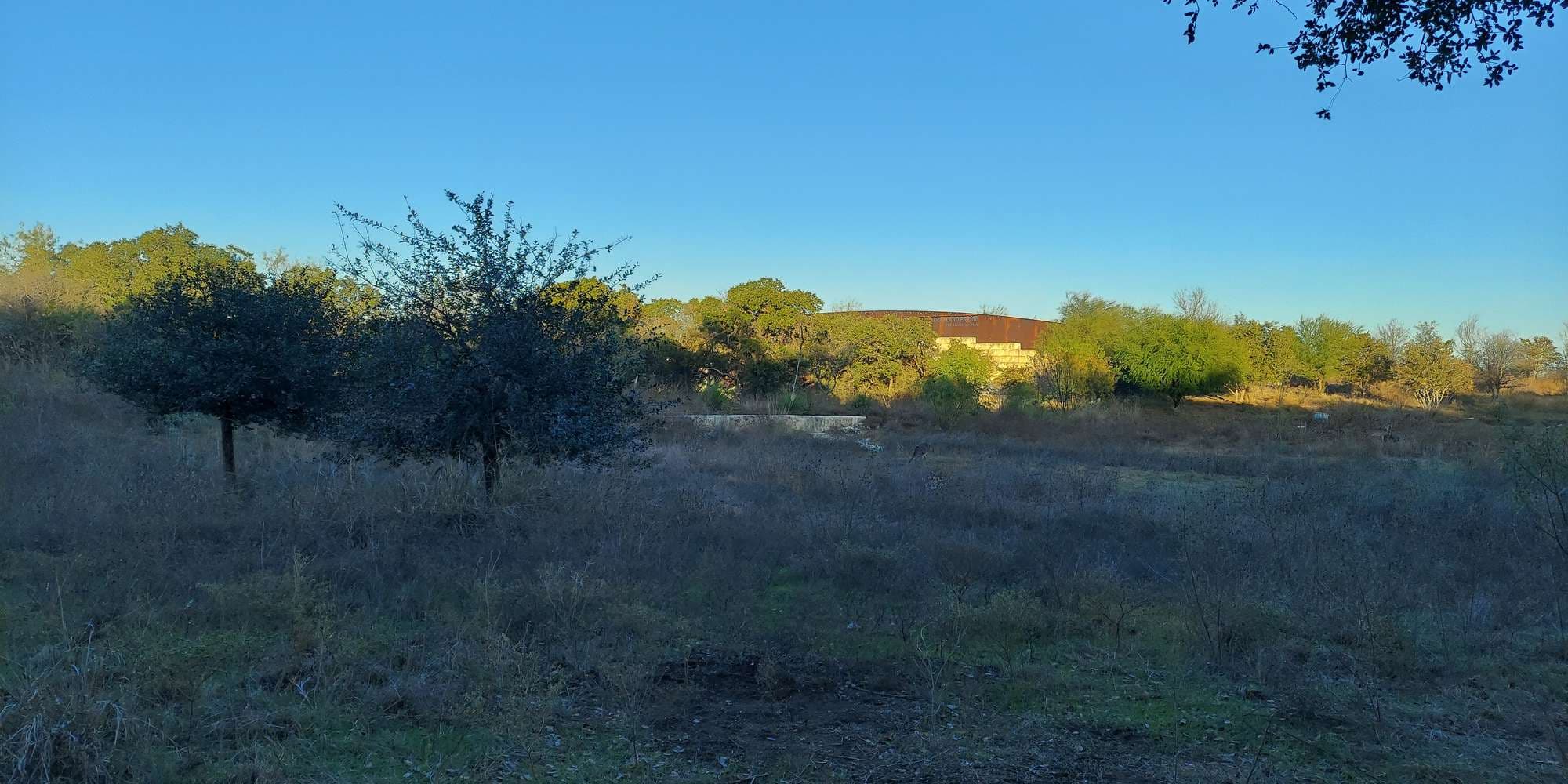 Second image to compare