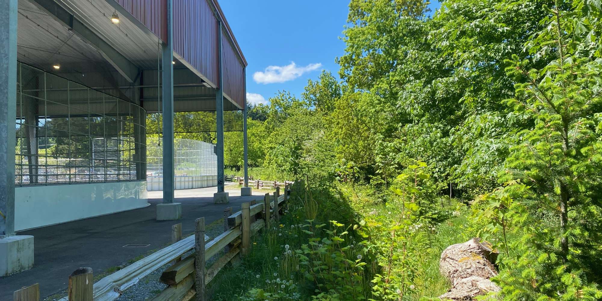 First image to compare