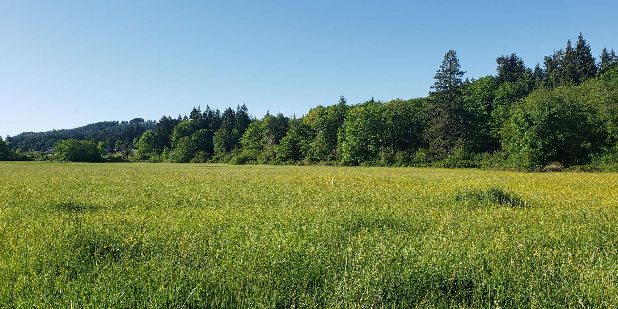 First image to compare