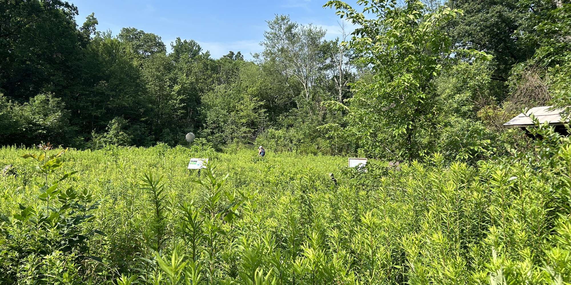 First image to compare