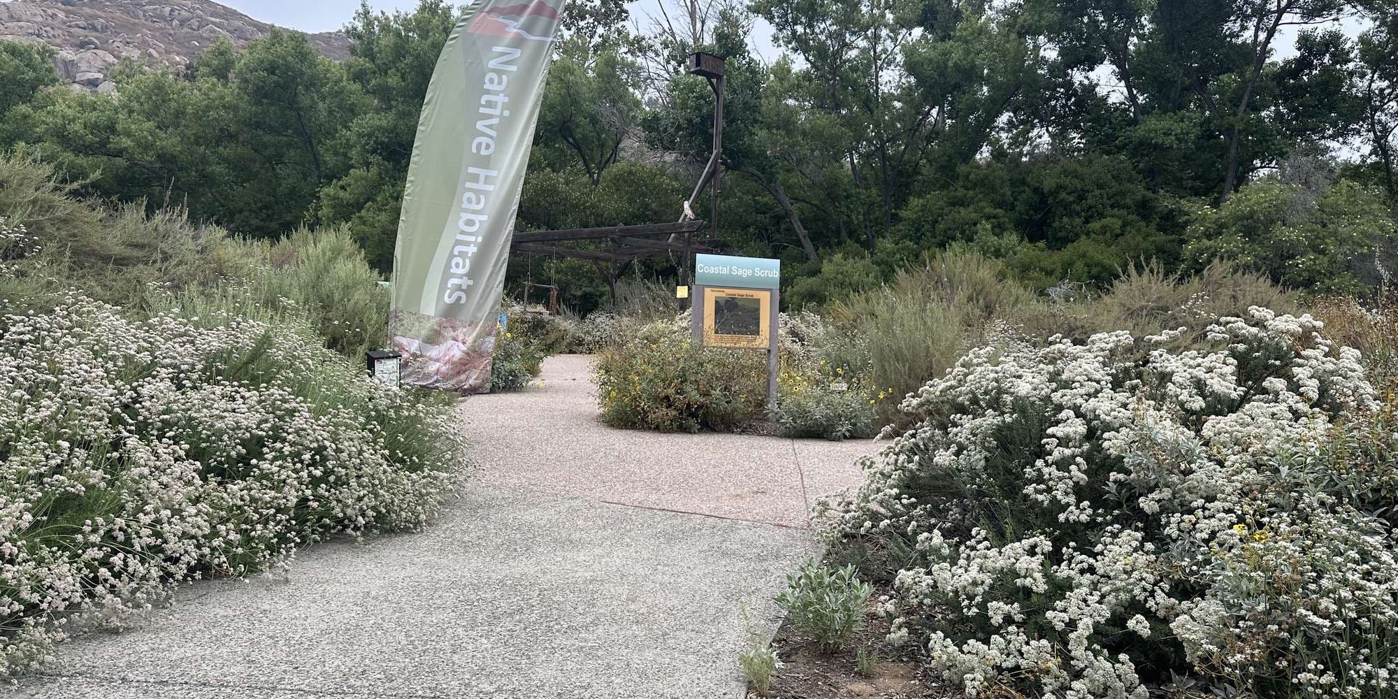 First image to compare