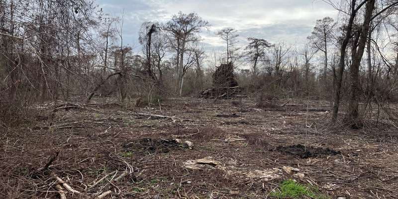 The featured photo for WOO-104 Restoration Site