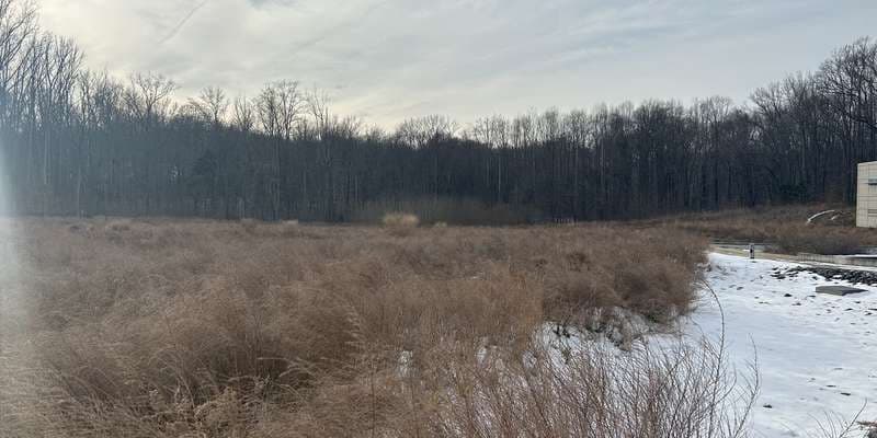 The featured photo for Geothermal Field